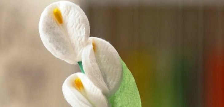 Flores de algodão com suas próprias mãos