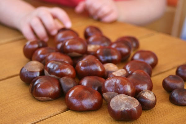 Artesanato de castanhas sobre o tema do outono