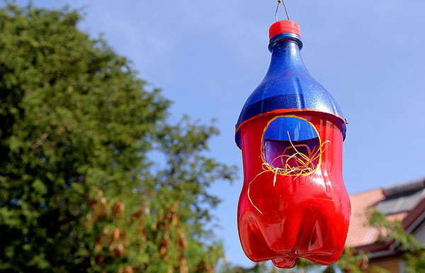 Novos ofícios de garrafas plásticas com suas próprias mãos para jardim e pomar