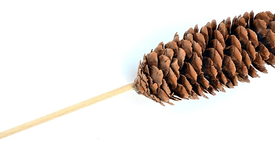 Artesanato feito de material natural: mini-madeira com as próprias mãos