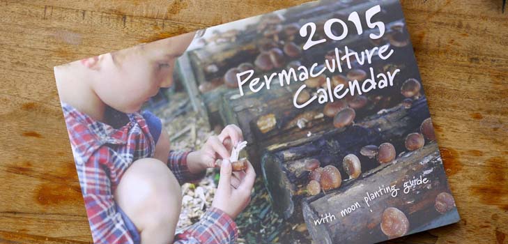 Semeando o calendário 2015: planejamos trabalhar de janeiro a dezembro