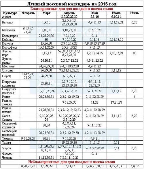 Semeando o calendário 2015: planejamos trabalhar de janeiro a dezembro