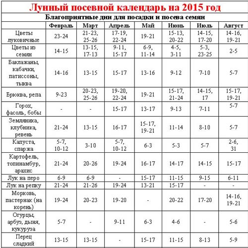 Semeando o calendário 2015: planejamos trabalhar de janeiro a dezembro