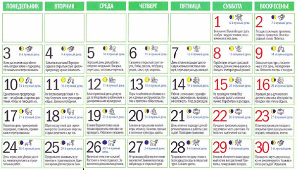 Calendário de semente lunar para abril de 2017