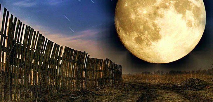 Calendário de semente lunar para abril de 2017