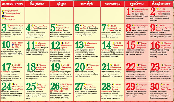 Calendário de semente lunar para abril de 2017