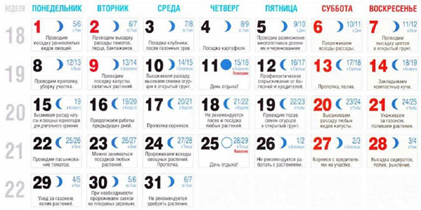 Calendário de semente lunar para maio de 2017