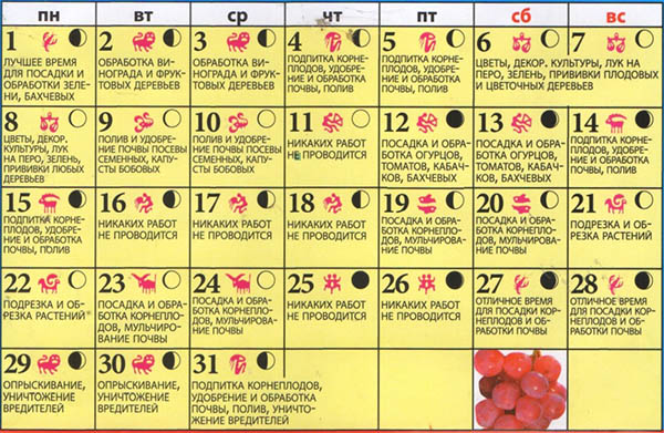Calendário de semente lunar para maio de 2017