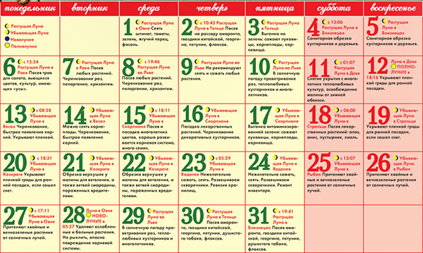 Calendário de semente lunar para março de 2017