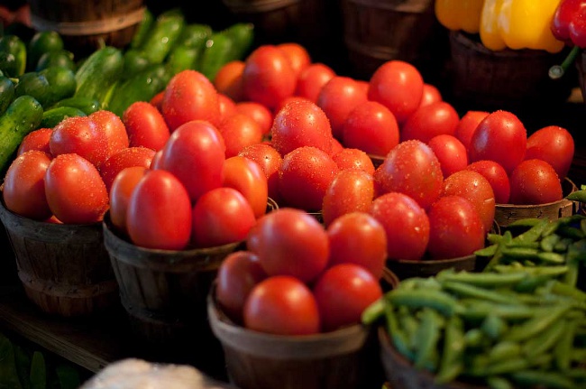 Corrigir a rega dos tomates Corrigir a rega dos tomates
