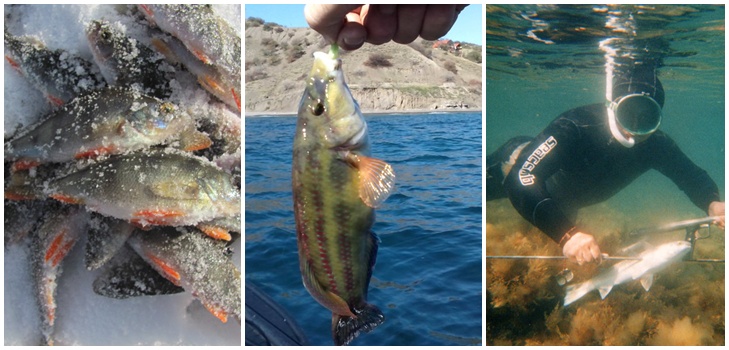 Peixe grande e pequeno: os melhores lugares para pescar na Criméia