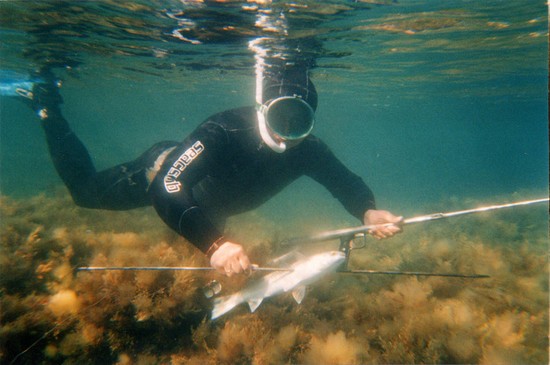Peixe grande e pequeno: os melhores lugares para pescar na Criméia