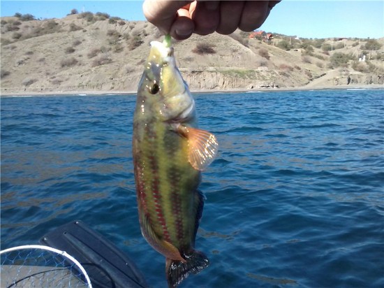 Peixe grande e pequeno: os melhores lugares para pescar na Criméia