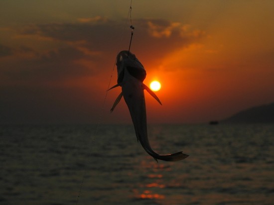 Peixe grande e pequeno: os melhores lugares para pescar na Criméia