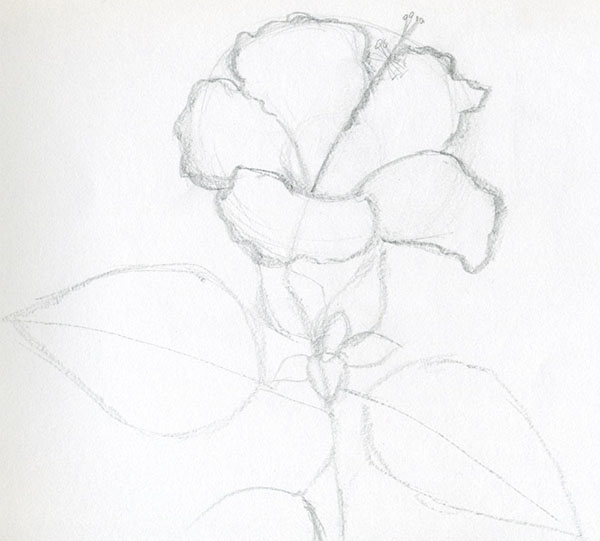 Figura Flor