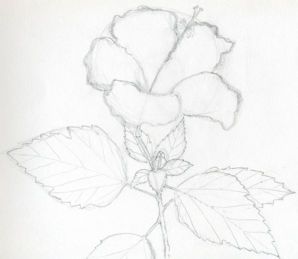 Figura Flor