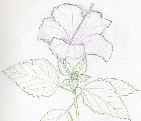 Figura Flor