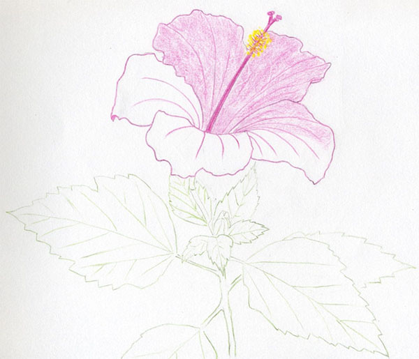 Figura Flor