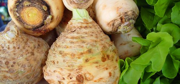 Aipo: cultivo e as variedades mais interessantes para terrenos abertos e estufas