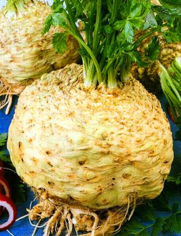 Aipo: cultivo e as variedades mais interessantes para terrenos abertos e estufas