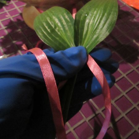 Grinalda de flores para o casamento com suas próprias mãos