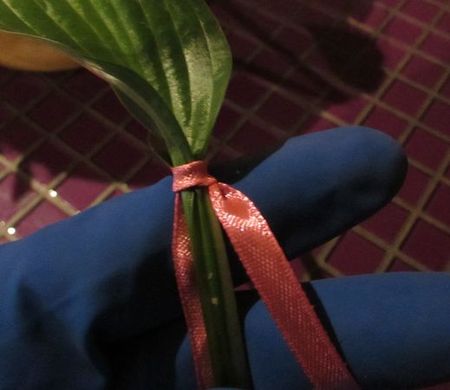 Grinalda de flores para o casamento com suas próprias mãos
