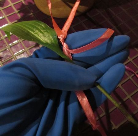 Grinalda de flores para o casamento com suas próprias mãos
