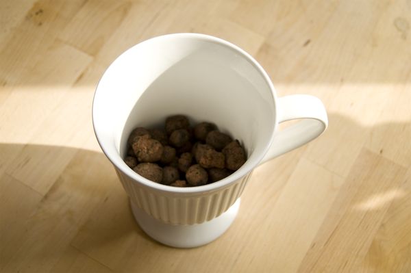 Cultivo de rúcula em condições de casa