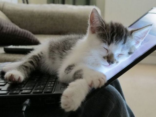 Como desligar o modo de suspensão no Windows 7