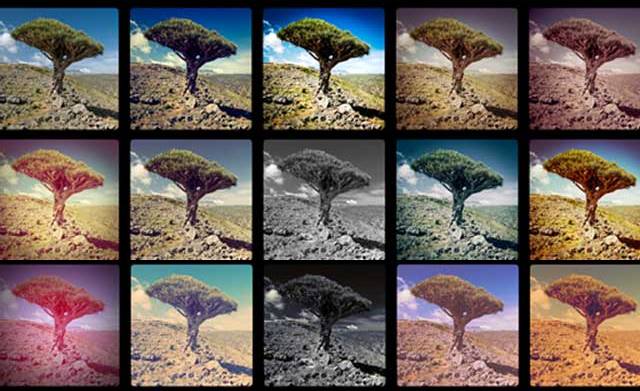 Como usar o Instagram