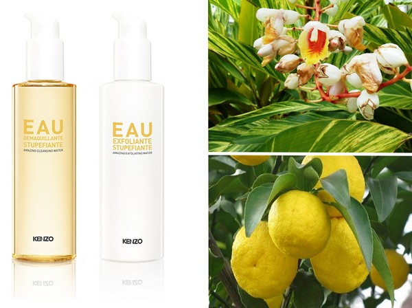Dupla asiática: série Kenzoki Ginger Flower para limpeza completa da pele