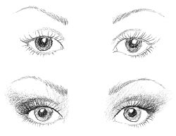 Olhos redondos