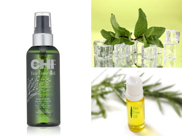 Hidratação do verão: uma coleção de cuidados com os cabelos SHI Tea Tree Oil