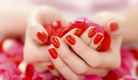 Sombra de vinhos e vinhos de esmalte de unhas