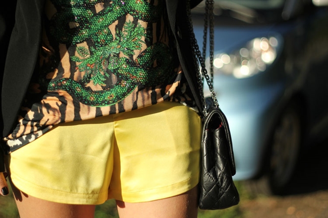 Shorts de moda verão 2014