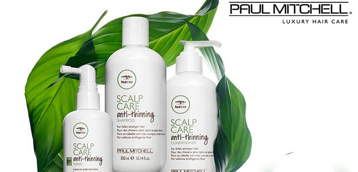 Força do cabelo das raízes às dicas: Paul Mitchell Tea Tree Scalp Care series