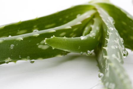 Tratamento facial de inverno: máscara nutritiva para pele seca e desvanecida em casa