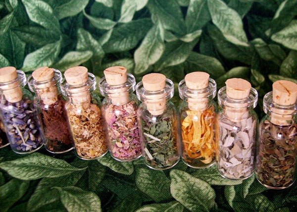 Estas plantas protegerão você e sua casa do mal olho: amuletos de vegetais de deterioração