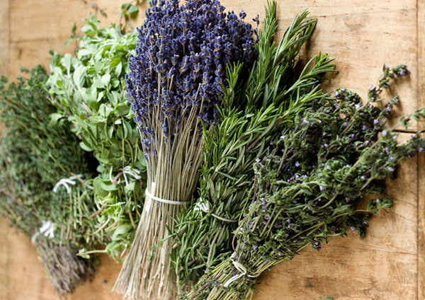 Estas plantas protegerão você e sua casa do mal olho: amuletos de vegetais de deterioração
