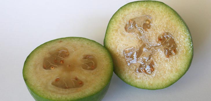 Feijoa - propriedades úteis, benefícios e danos da feijoa