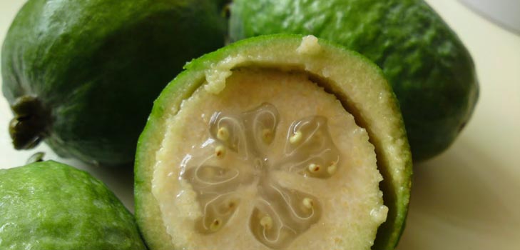 Como comer feijoa: como comer corretamente feijoa