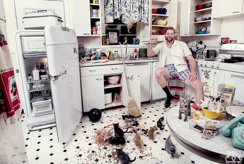Como se livrar da bagunça na cozinha de uma vez por todas: 5 passos para limpeza e conforto