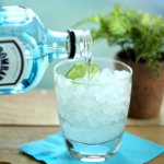Como beber gin Como beber gin