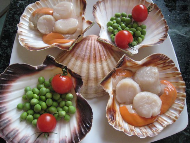 Como cozinhar vieiras Como cozinhar vieiras
