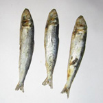 Como secar peixe