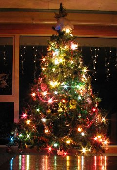 Como decorar uma árvore de Natal Como decorar uma árvore de Natal