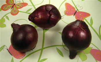 Como decorar os ovos para a Páscoa