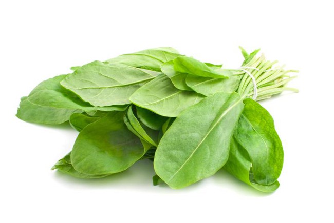 Como obter sorrel para o inverno?