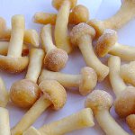 Como congelar cogumelos para o inverno