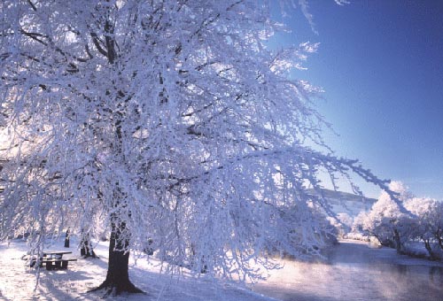 Qual será o inverno de 2014 - 2015, previsões do tempo